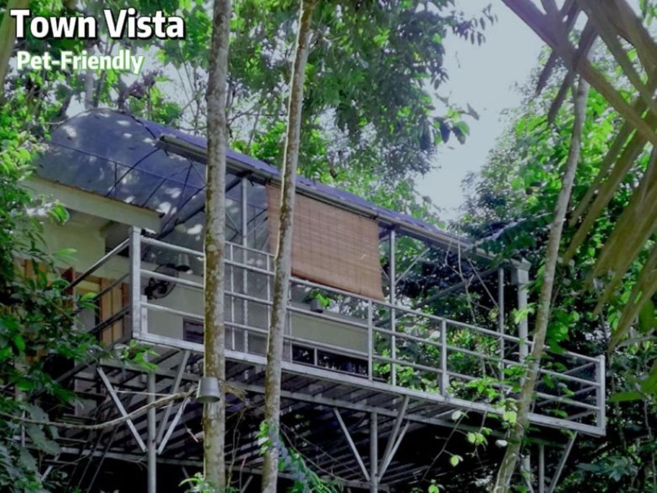 Hotel Gibbon Retreat Bentong Exteriér fotografie