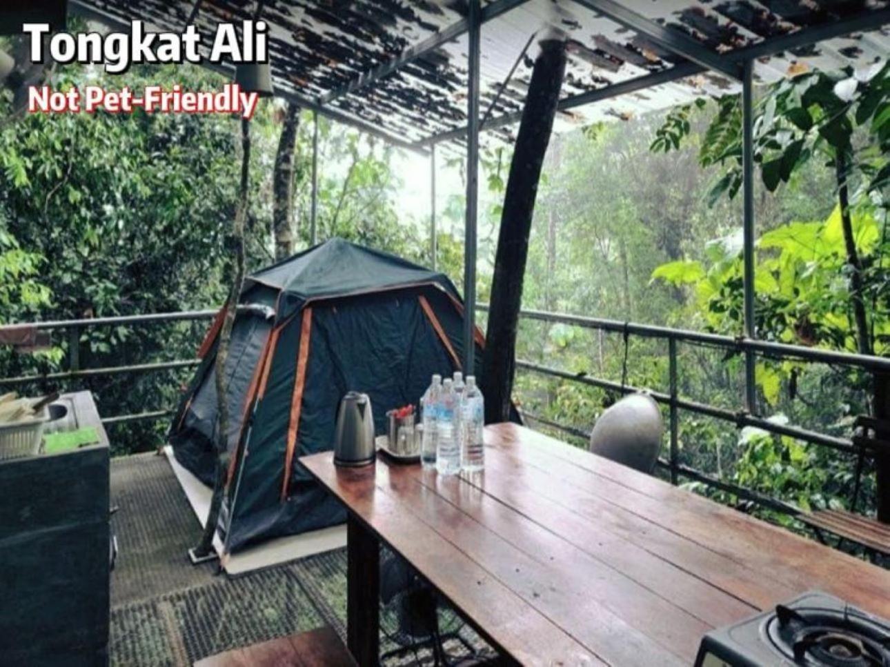 Hotel Gibbon Retreat Bentong Exteriér fotografie