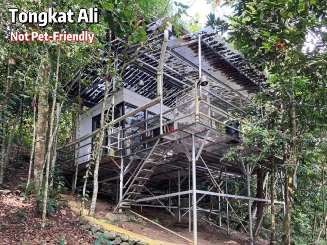 Hotel Gibbon Retreat Bentong Exteriér fotografie